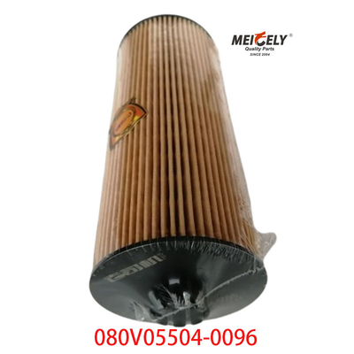 สต็อค OEM 080V05504-0096 สําหรับ SINOTRUK Howo T5G เครื่องกรองน้ํามันรถบรรทุก