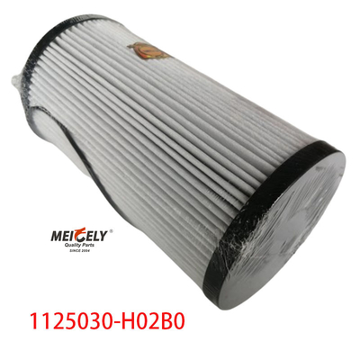 1125030-H02B0 อะไหล่รถบรรทุก เครื่องกรองน้ํามันสําหรับ Dongfeng Tianlong