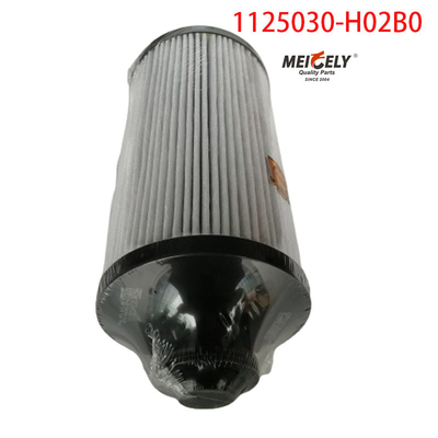 1125030-H02B0 อะไหล่รถบรรทุก เครื่องกรองน้ํามันสําหรับ Dongfeng Tianlong