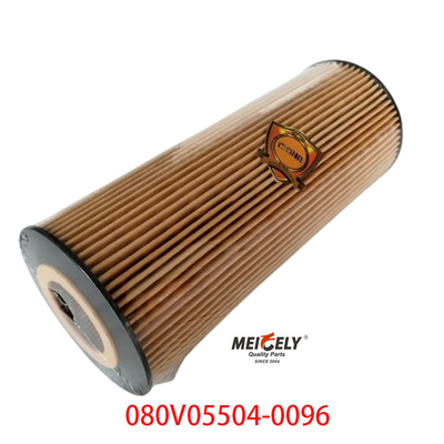 สต็อค OEM 080V05504-0096 สําหรับ SINOTRUK Howo T5G เครื่องกรองน้ํามันรถบรรทุก