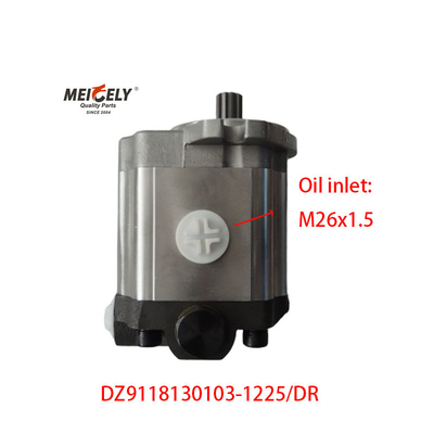 ปั๊มควบคุมแรงสําหรับรถบรรทุกหนัก Shaanqi M11-310 เครื่อง