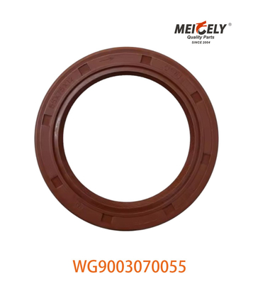 WG9003070055 ปรางน้ํามัน PS55X75X12 เหมาะสําหรับ SINOTRUK CNHTC